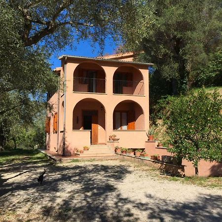 Вилла Argentella House Palombara Sabina Экстерьер фото